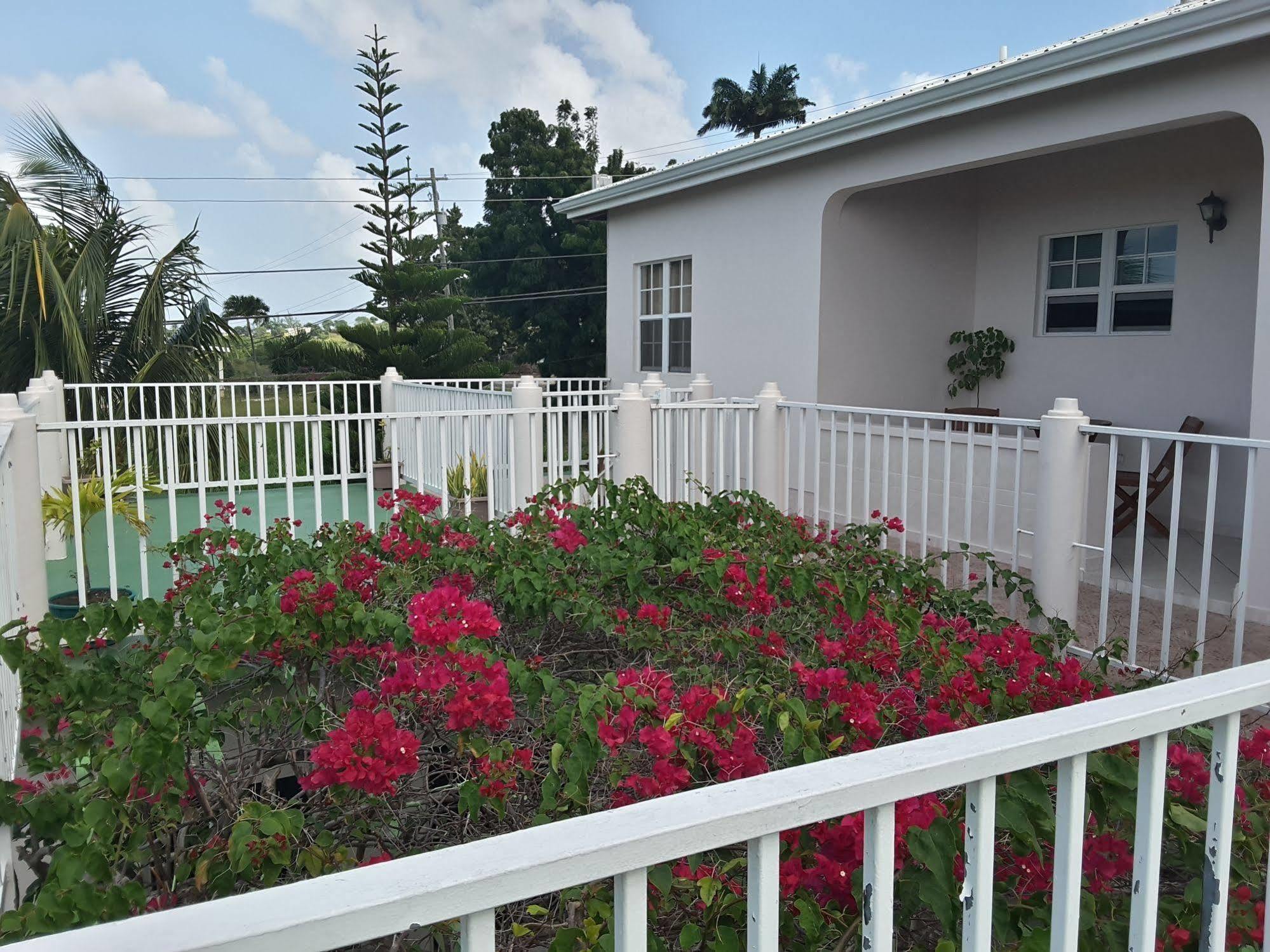 Caribbean Inn And Suites St. John's Buitenkant foto
